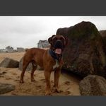 @keith_audette - Instagram