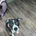 Keith Avery - Facebook