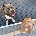 Keith Avery - @agentavery82 - Instagram