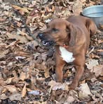Keith Ayers - Facebook