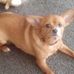 Keith Ayres - Facebook