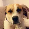 keithbubach - @lanbubach8 - TikTok