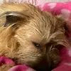 keithbaines1029 - @keithbaines1029 - TikTok