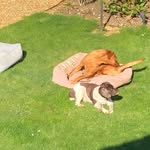 Keith Baker - @keith.a.baker - Instagram