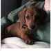 Keith Banner - Facebook
