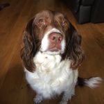 Keith Bannerman - @keith.bannerman - Instagram