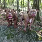Keith Bantum - Facebook