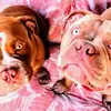 Keith Bantum - @keith.bantum - TikTok