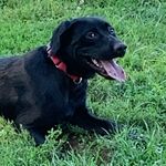 Keith Baranow - @keithbaranow - Instagram