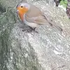 keithbarrass - @keithbarrass - TikTok