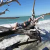Keith Breault - @keithbreault - TikTok