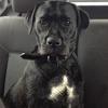 keith bartley - @keith.bartley - TikTok