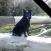 keithbartram - @keithbartram - TikTok