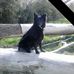 Keith Bartram - Facebook