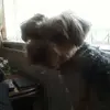 Keith Barwick - @keith.barwick3 - TikTok