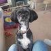 Keith Bayley - Facebook
