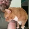 keithbeamer - @keith.beamer - TikTok