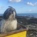 Keith Bear - Facebook