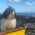 Keith Bear - @kabe57 - Instagram
