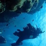 Keith Beaton - @keith.beaton - Instagram