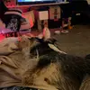 Keith Beaton - @keithbeaton - TikTok