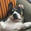 Beaukeithley - @beaukeithley - TikTok