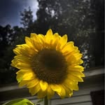 Keith Bechtel - @pa.plant.hoarder - Instagram