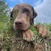 Keith Beckham - @keith.beckham - TikTok
