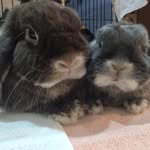 John Beckwith - @keith_beckwith - Instagram