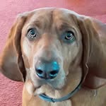 Keith Beckwith - @beckwith_keith - Instagram