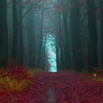 Keith Beckwith - @veritas_2016 - Instagram