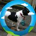 Keith Beddow - Facebook