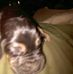 Keith Bedenbaugh - Facebook