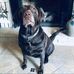 Keith Beecher - Facebook