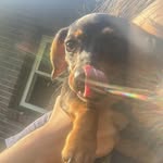 Shandall Keith Beeler - @shandallk - Instagram