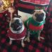 Keith Bellinger - Facebook