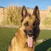 keithbenge473 - @keithbenge473 - TikTok