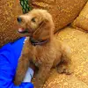 keithberkson437 - @keithberkson437 - TikTok