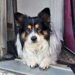 Keith Bernhardt - @keithb2710 - Instagram