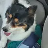 KeithB - @keithbernhardt4 - TikTok