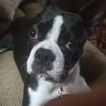 Keith Biddle - @keithbiddle8 - Instagram