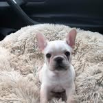 Keith Billingsley - @ranger0770 - Instagram