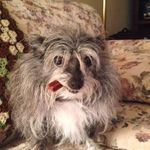 Keith Bliss - @keith.bliss.90 - Instagram