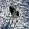 Bob Keith - @bob.keith3 - TikTok