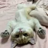 keithbob3 - @keithbob3 - TikTok