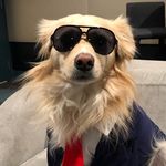 Bode - @bodekeithbays - Instagram