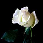 Keith Bodeker - @keithbodeker2123 - Instagram