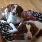 Fletchersdad - @keithbodnar72 - Instagram