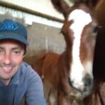 Keith Boland,
Single Single, Farmer/Equestrian. 🐃🐎🗃️ - @bola.nd1976 - Instagram