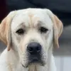 Keith Block - @keith.block - TikTok